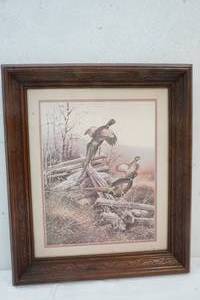 lot 144 image: Picture of Pheasants
