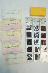 lot 260 image: Vintage Pana-Vue Slides