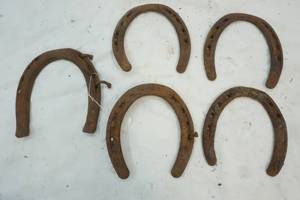 lot 272 image: Vintage Small Horseshoes