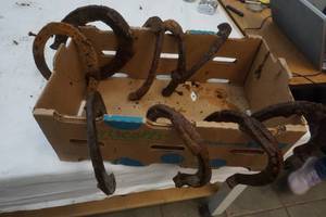 lot 276 image: Variety of Vintage Horseshoes