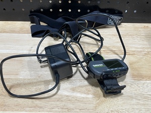 Garmin Forerunner 201