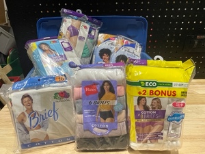 Large Selection of Womans Underwear in Tote NEW
