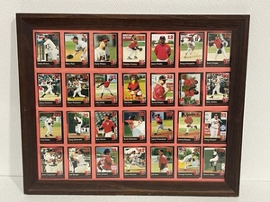 Framed FM Redhawks Player Cards