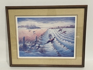 Framed Wildlife Print by Kathy Flynn