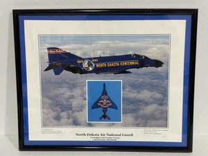 Framed North Dakota Air National Guard 119 Fighter Interceptor Group