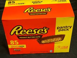 lot 543 image: Reeses Snack Size Peanut Butter Cups 85 Best By 072024
