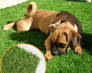lot 425 image: Artificial Grass Lawn Turf 5 FT x 8 FT(40 Square FT) with Drainage Holes