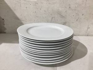 lot 501 image: LOT OF 10 Glass Plates