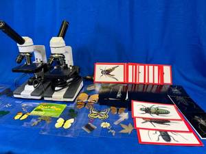 lot 1 image: My First Lab Ultimate Starter Microscope  My First Lab Microscope  REAL BUGS DISCOVERY KIT