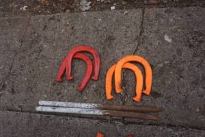lot 55 image: Horse Shoe Stakes With 4 Sets of Horse Shoes