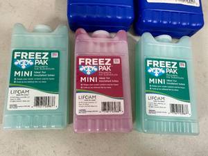 lot 251 image: New Lunch Cooler with Assorted Ice Packs