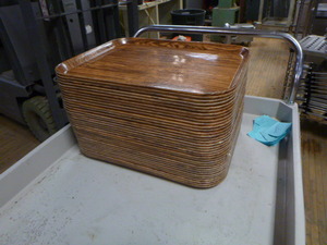 35 Cambro Food Trays