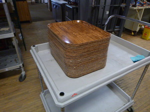 35 Cambro Food Trays