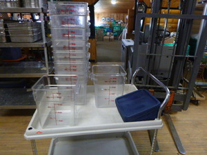 9 Cambro Containers with Lids