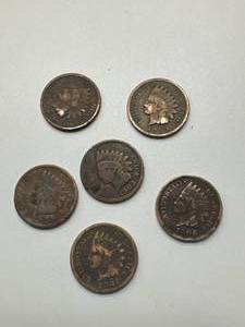 Lot of 6 Indian Head Pennies