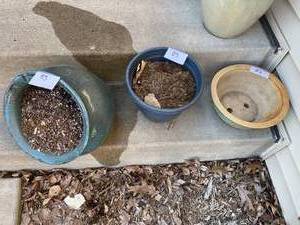 lot 83 image: 6 Flower Pots With Garden Stepping Stones