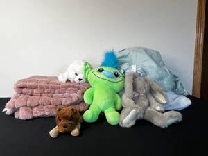 lot 240 image: Twin Fitted Sheet, Mattress Pad, Project 62 Polyester Blanket & Misc Stuffed Toys