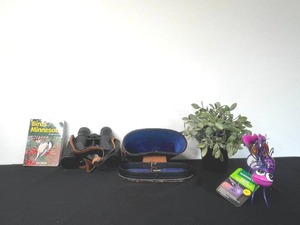 lot 265 image: VTG Sears Bionoculars w Case, Solar Hanging Bug, Birds of MN Book & Artifical Plant