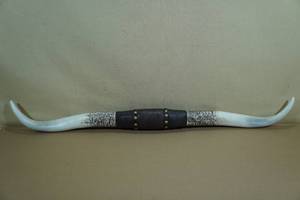 lot 65 image: Texas Longhorn 40.5 Resin Horns