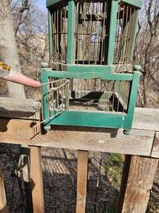 lot 365 image: Primitive Green Birdcage