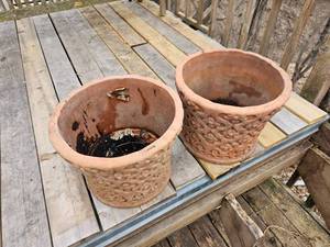 lot 367 image: Daisy Relief Large Terracotta Planters