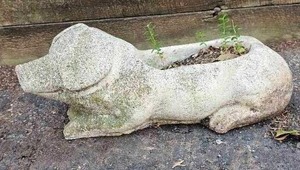 lot 17 image: Concrete Piggy Planter