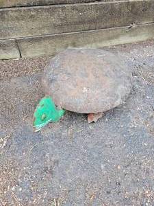lot 169 image: Metal Yard Art Turtle