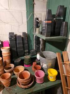 lot 226 image: Potters Shed Pick-It Lot