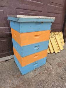 lot 50 image: Bee Box Group