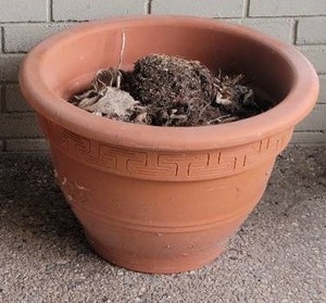 lot 70 image: Clean Design Terra Cotta Garden Planter Pair - Greek Pattern