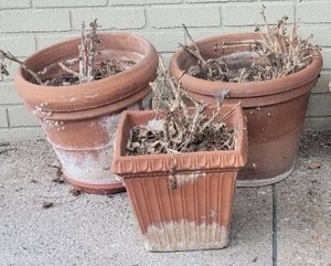 lot 67 image: Excellent Terra Cotta Garden Planter Collection (5)