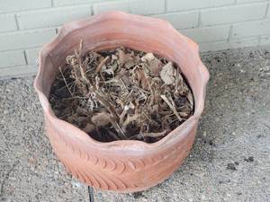 lot 65 image: Wavy Floral Sculpted Terra Cotta Planter