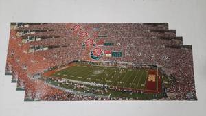 Officially Licensed Collegiate Projects Rosebowl Panoramic Posters 36 x 12