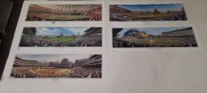 (5) Panoramic Baseball Posters