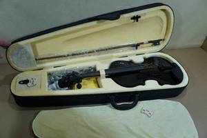 Poseidon Violin with Hardcase