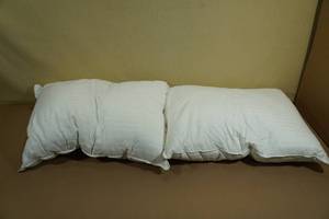 2 Beckham Down Alternative Pillow 20x28