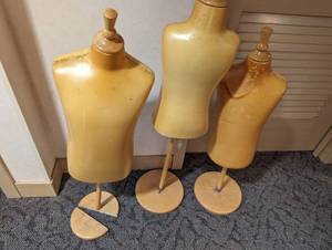 Trio of child and teen torso with pedestal displays