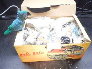 Assorted Tropical Alliance Tropical Bird Bobble Heads  Approximately 24 