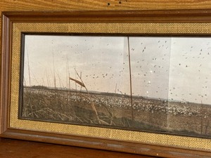 lot 187 image: 1985 Squaw Creek Missouri Mound City Framed Photographs
