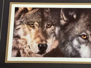 lot 185 image: Judi Rideout Wolf Framed Art