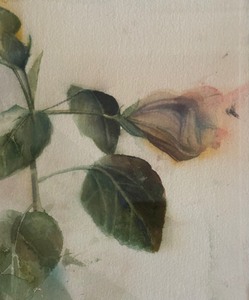 lot 41 image: Original Watercolor Painting by Mario Fallani