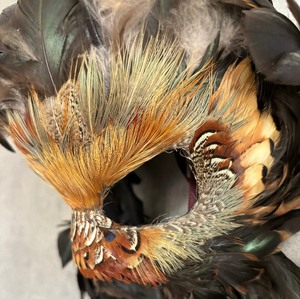 lot 47 image: Fantastic New Orleans Mardi Gras Feather Mask