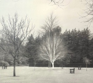 lot 81 image: Lawn, Hall Place, England Framed Platinum Garden Photograph Print