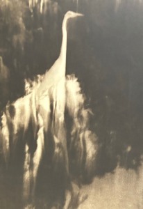 lot 85 image: Black and White Framed Photographic Print by Josephine Sacabo