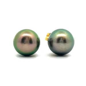Tahitian Pearl Stud Earrings in 14K Yellow Gold - Timeless Class