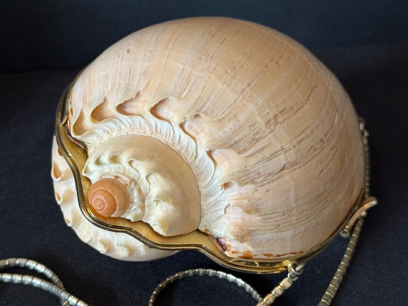 lot 63 image: Vintage 1970s JUDITH LEIBER Seashell Minaudiere Handbag - RARE