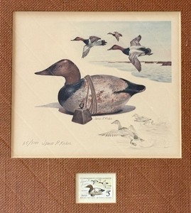 lot 62 image: Limited Edition James A. Fisher Federal Duck Stamp Print