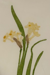 lot 308B image: Fine Flowery Print