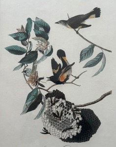 lot 372 image: John James Audubon (1785-1851), Plate 40 American Redstart