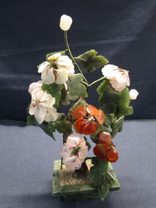 Bonsai Jade Tree